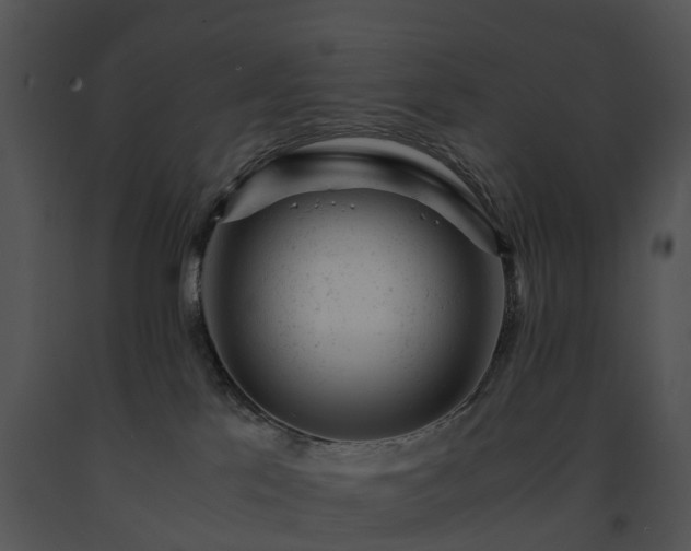 X0000091660041200708301448