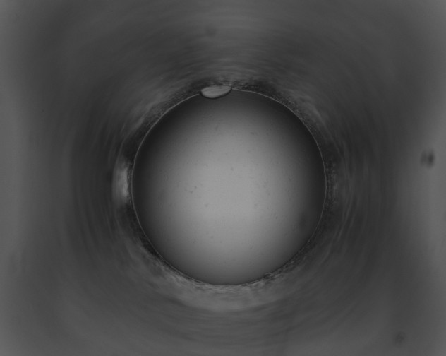 X0000091660042200708301448