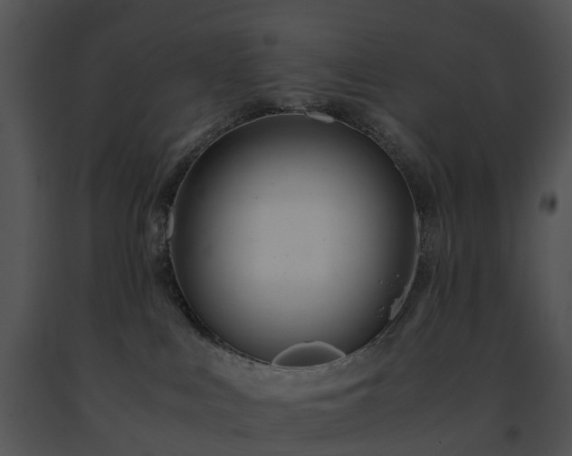 X0000091660043200708301448