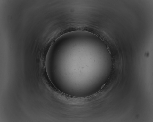 X0000091660044200708301448