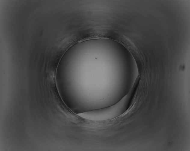 X0000091660045200708301448