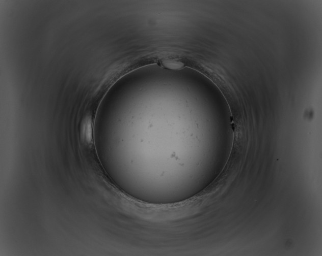 X0000091660046200708301448