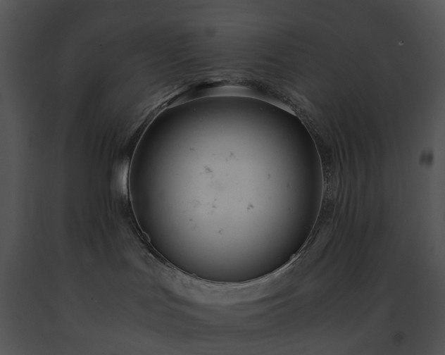 X0000091660047200708301448