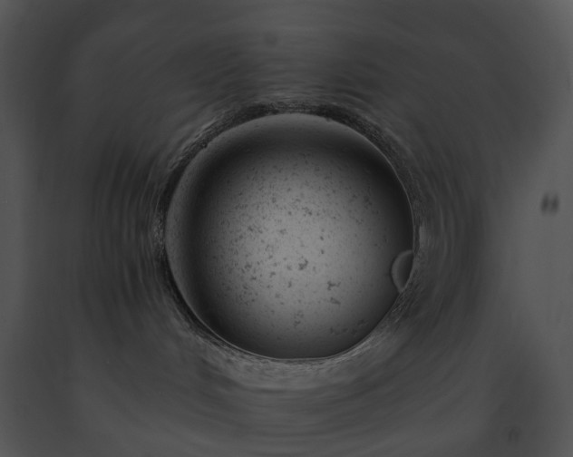 X0000091660048200708301447