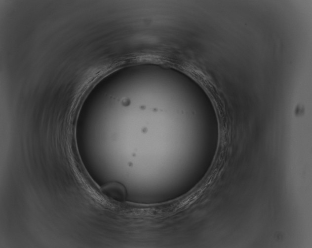 X0000091660049200708301447