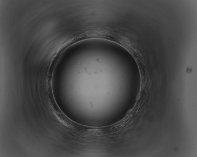 X0000091660050200708301447