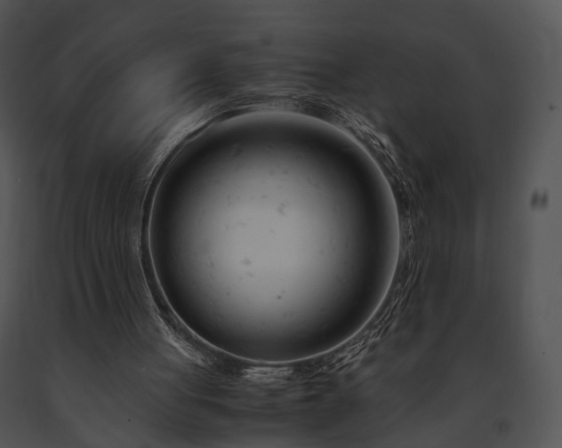 X0000091660051200708301447