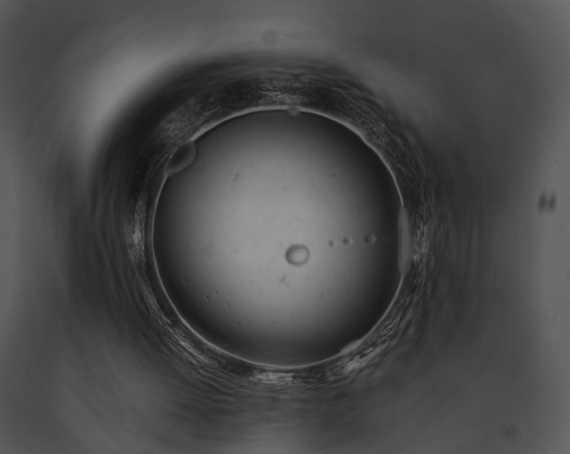 X0000091660052200708301447