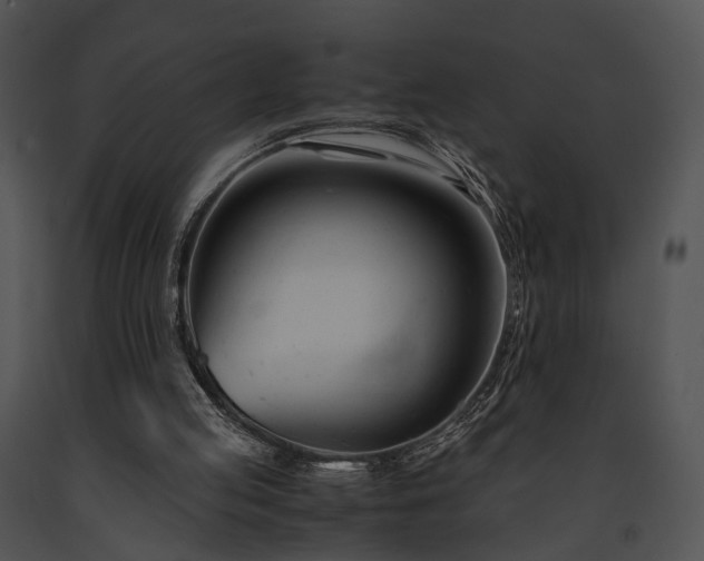 X0000091660053200708301447