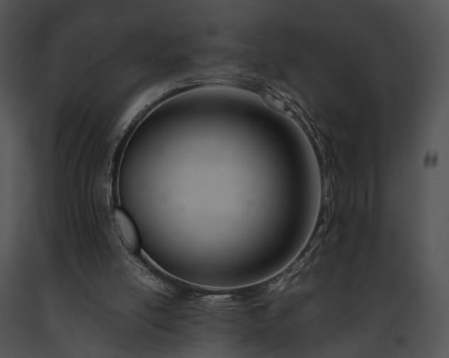 X0000091660054200708301447