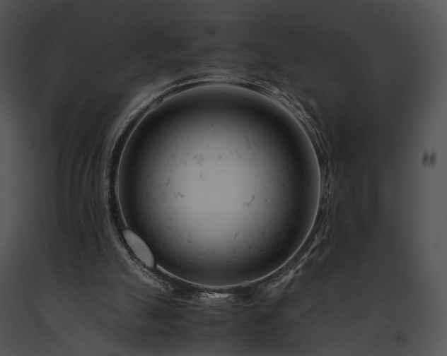 X0000091660055200708301447