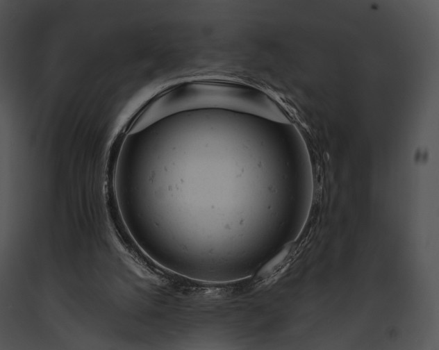 X0000091660056200708301447