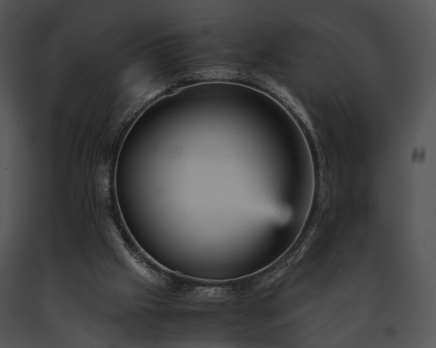 X0000091660057200708301447