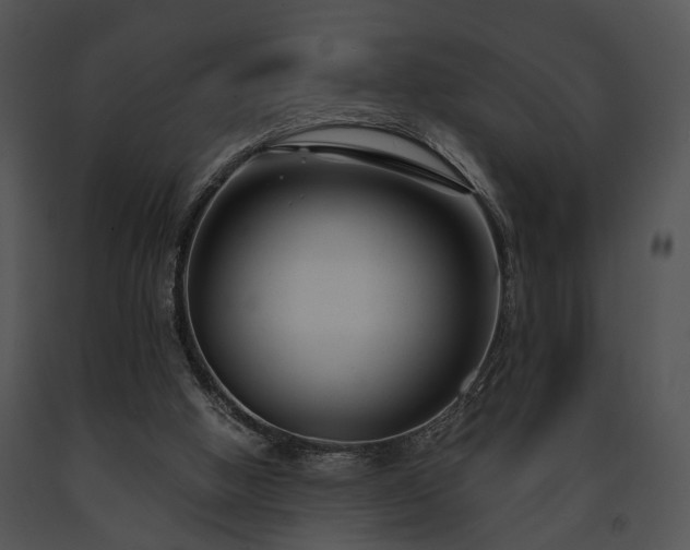 X0000091660058200708301447