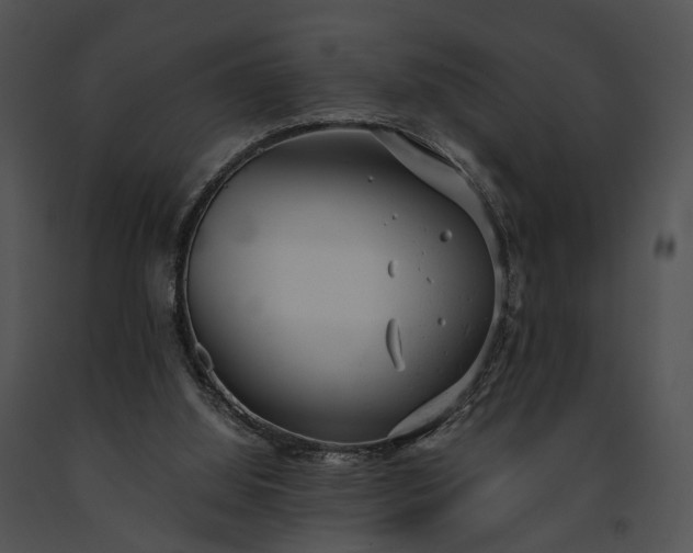 X0000091660060200708301447