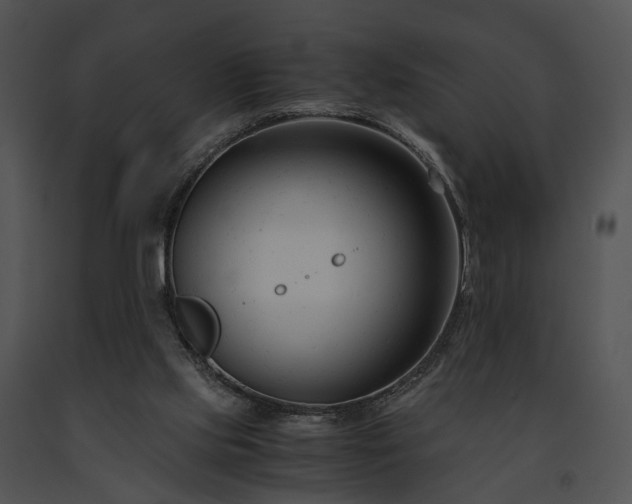 X0000091660061200708301447