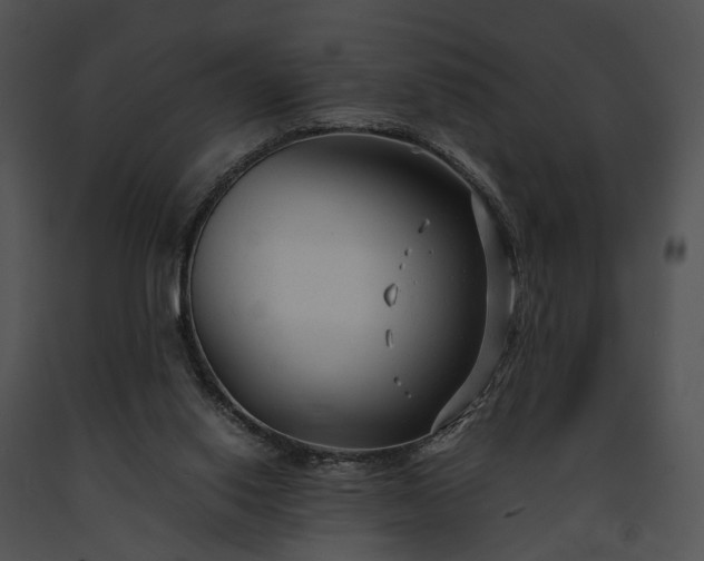 X0000091660062200708301447