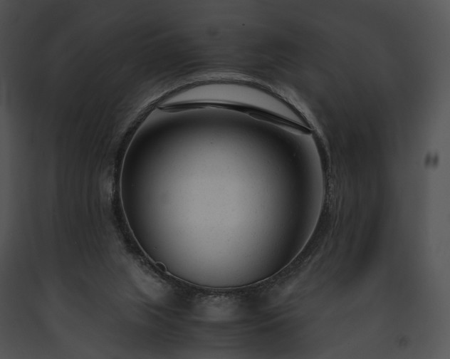 X0000091660063200708301447