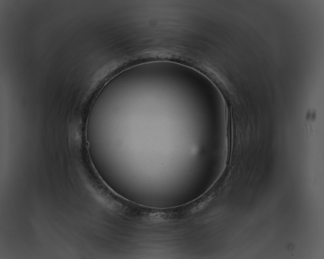 X0000091660064200708301447