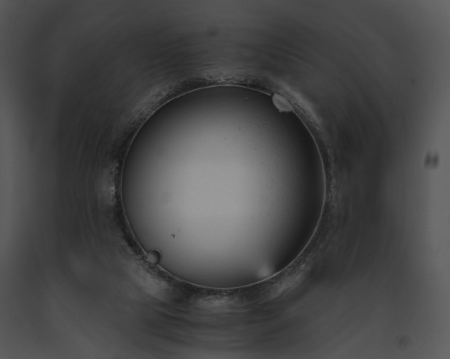 X0000091660065200708301447