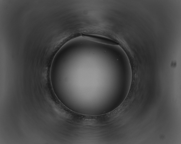 X0000091660066200708301447