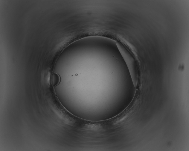 X0000091660067200708301447