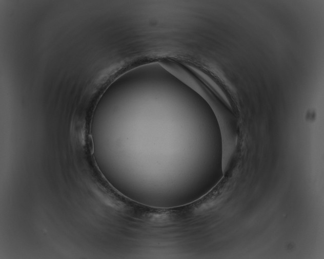 X0000091660068200708301447