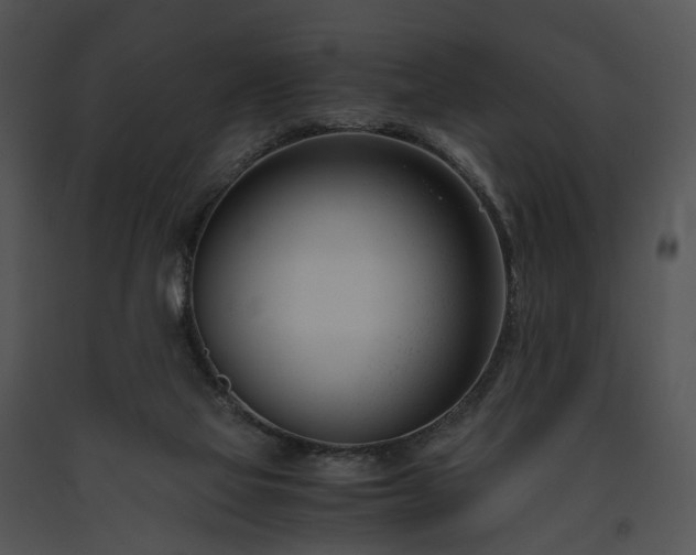 X0000091660069200708301447