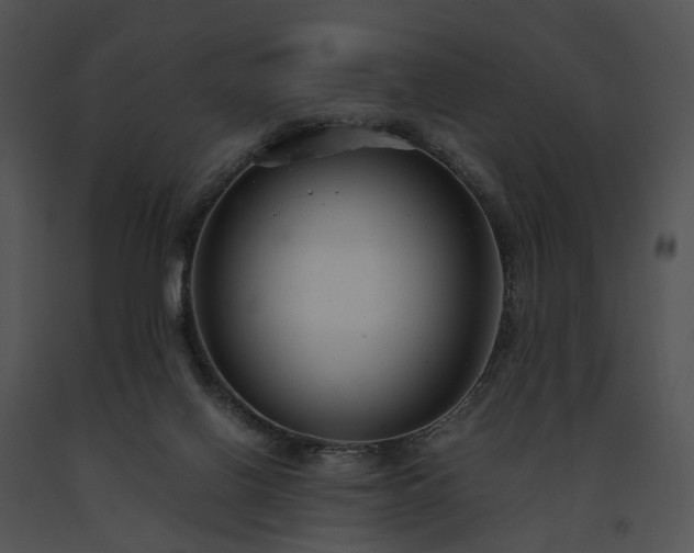 X0000091660070200708301447