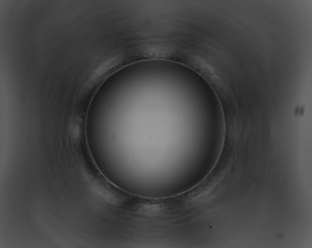 X0000091660071200708301447