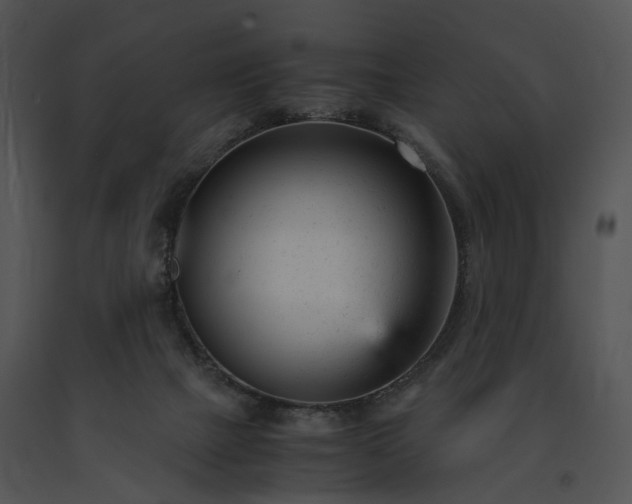 X0000091660073200708301447