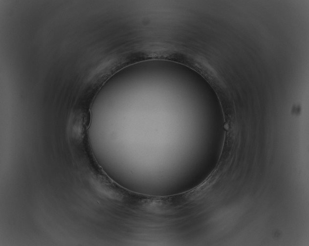 X0000091660074200708301447