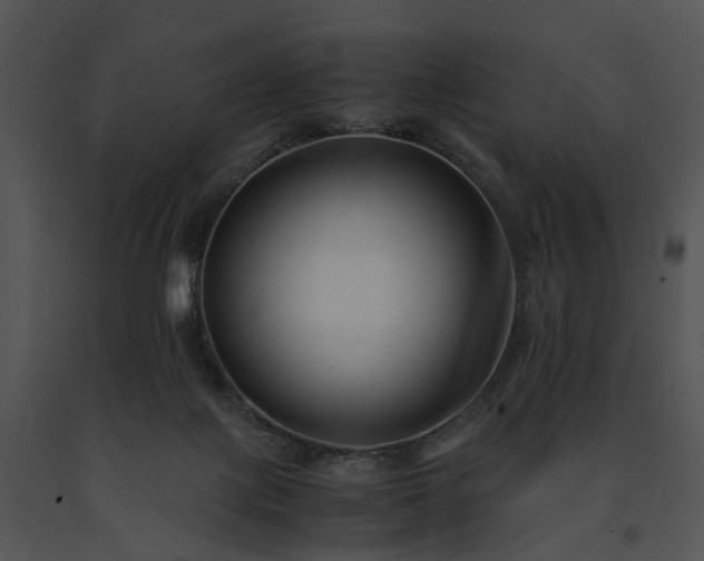 X0000091660075200708301447