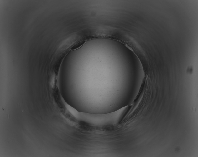 X0000091660076200708301447