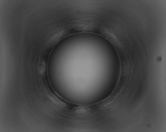 X0000091660077200708301447