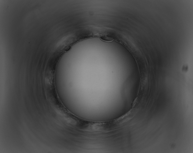 X0000091660078200708301447