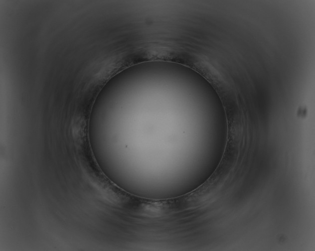 X0000091660079200708301447