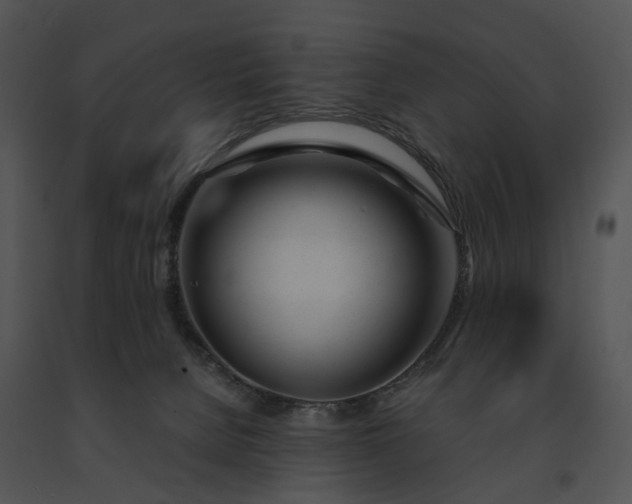 X0000091660080200708301447