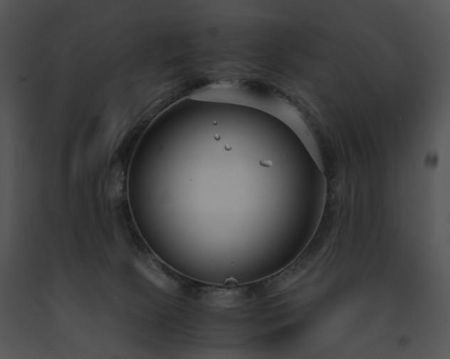 X0000091660081200708301447