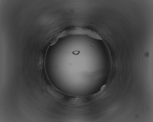 X0000091660082200708301447