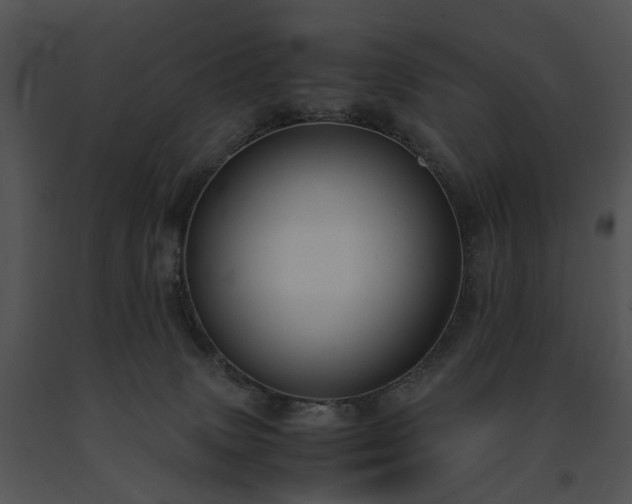 X0000091660083200708301447