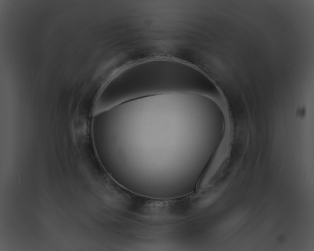 X0000091660084200708301447