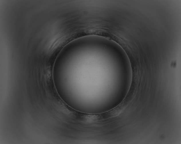 X0000091660085200708301447