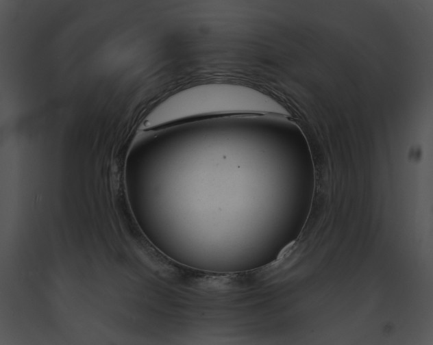 X0000091660086200708301447