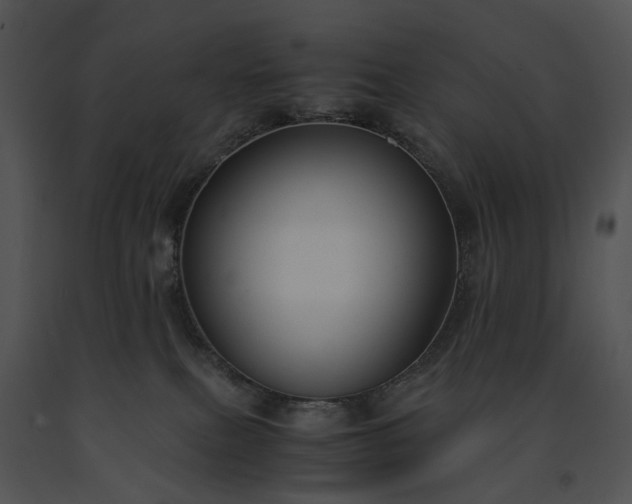 X0000091660087200708301447