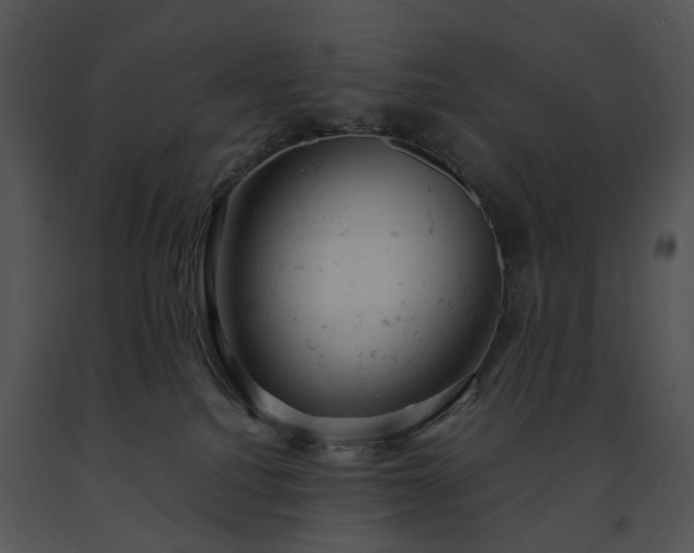 X0000091660088200708301447