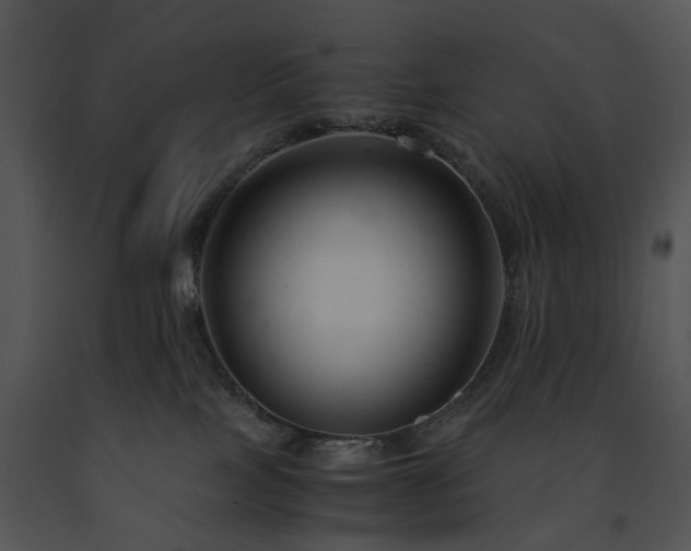 X0000091660089200708301447