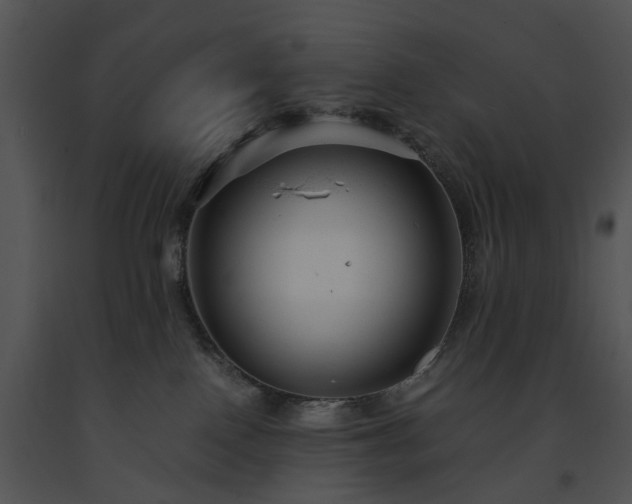 X0000091660090200708301447