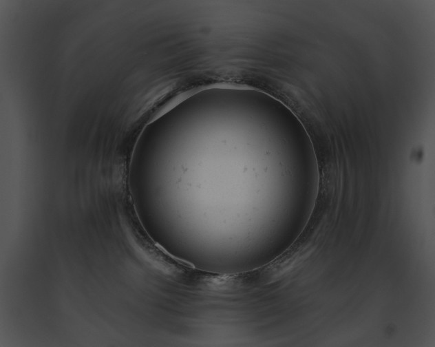 X0000091660092200708301447