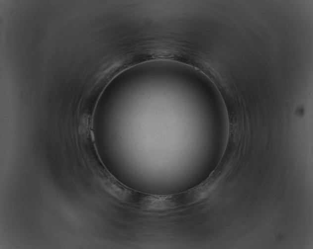 X0000091660093200708301447